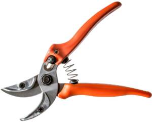 Rose scissors Löwe Nr. 16 - standard