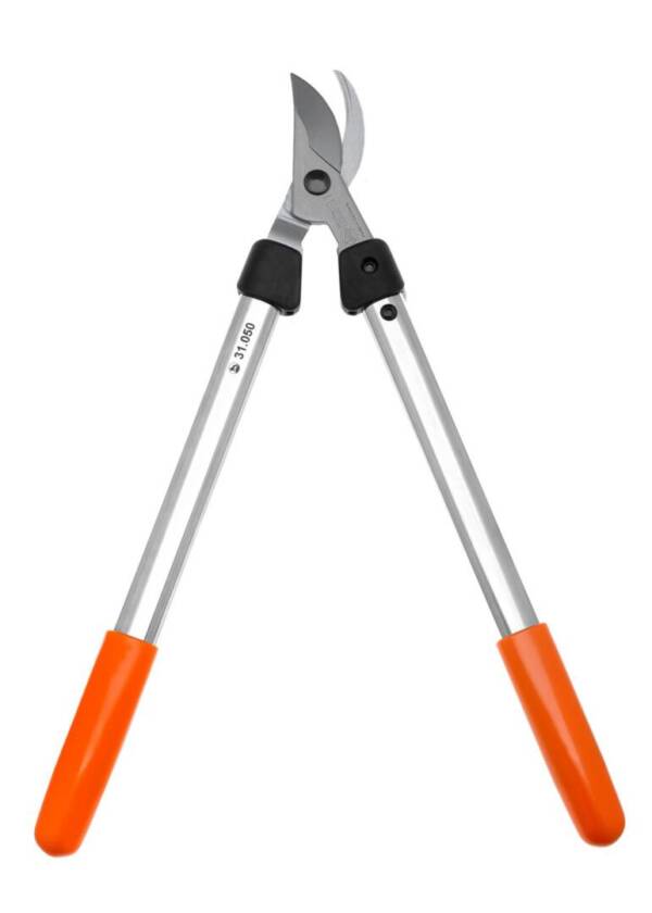 Branch shears Löwe Nr. 31 - Image 2