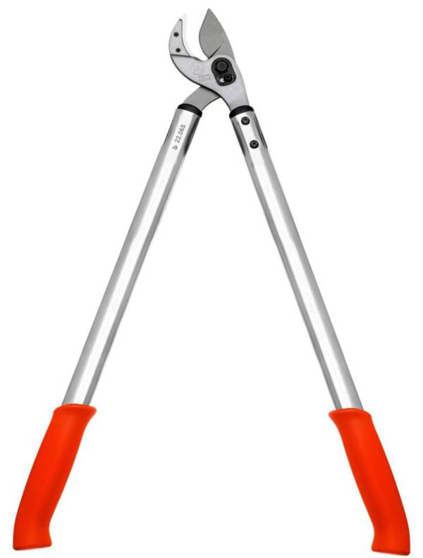 Branch shears Löwe Nr. 22 - Image 2