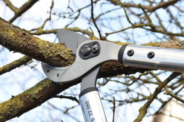 Branch shears Löwe Nr. 22 - Image 3