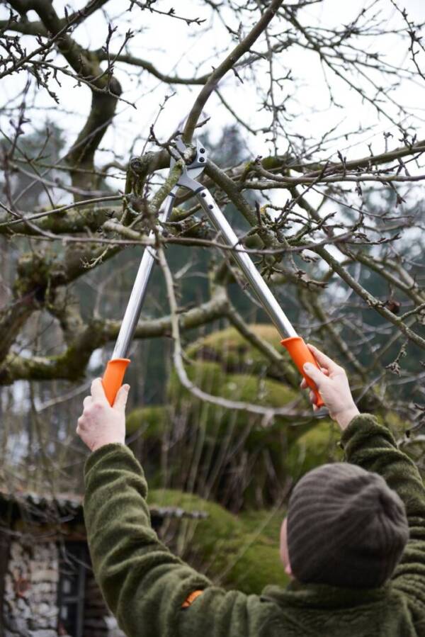 Branch shears Löwe Nr. 22 - Image 4