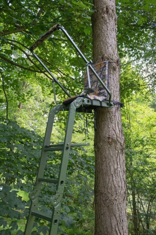 Folding ladder - Image 2
